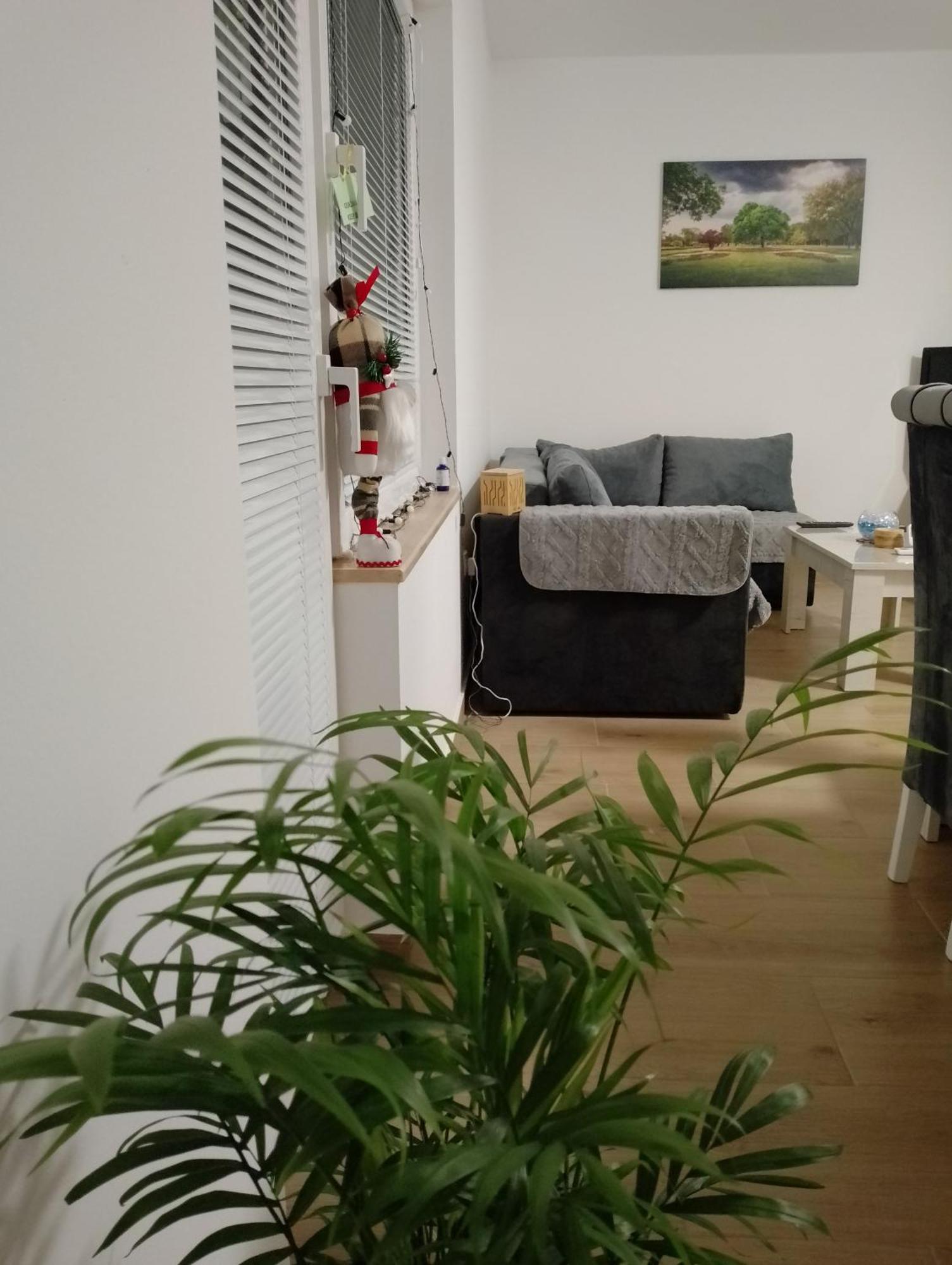 Apartman Dve Lipe Palic Exterior photo