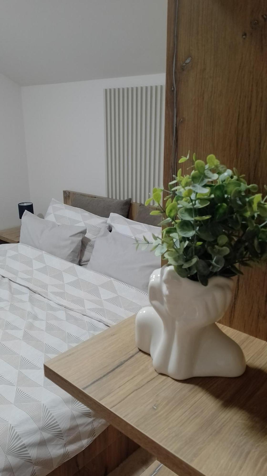 Apartman Dve Lipe Palic Exterior photo